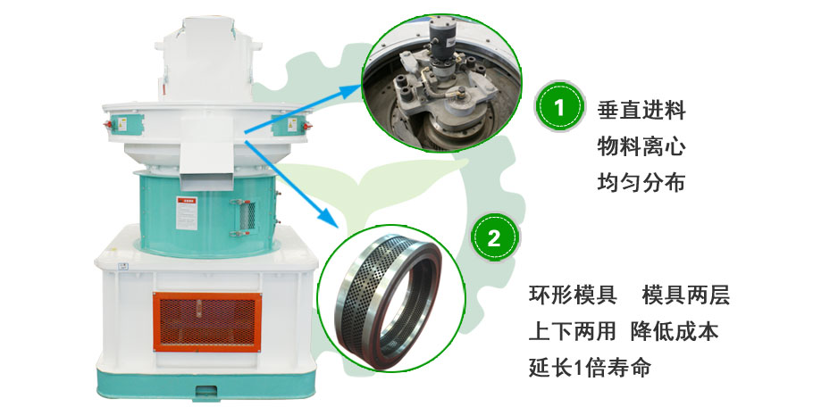 环模草莓影视大全污图片
