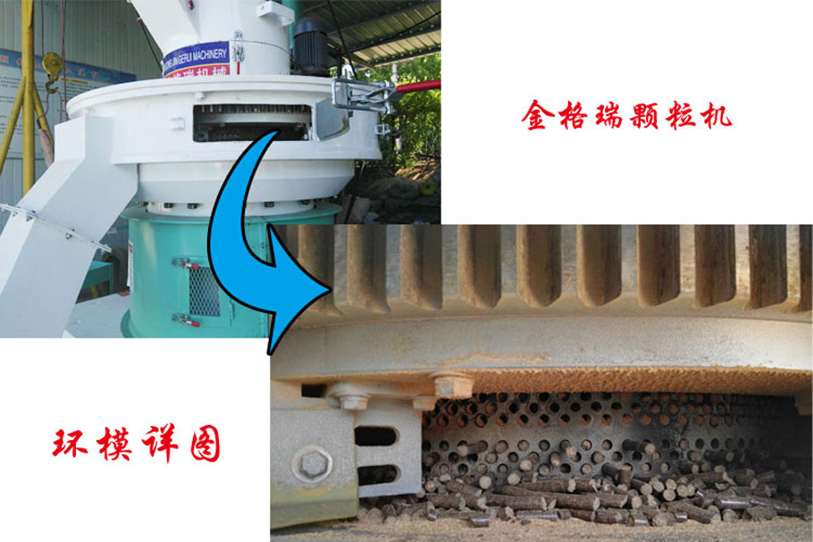 草莓影视大全污图