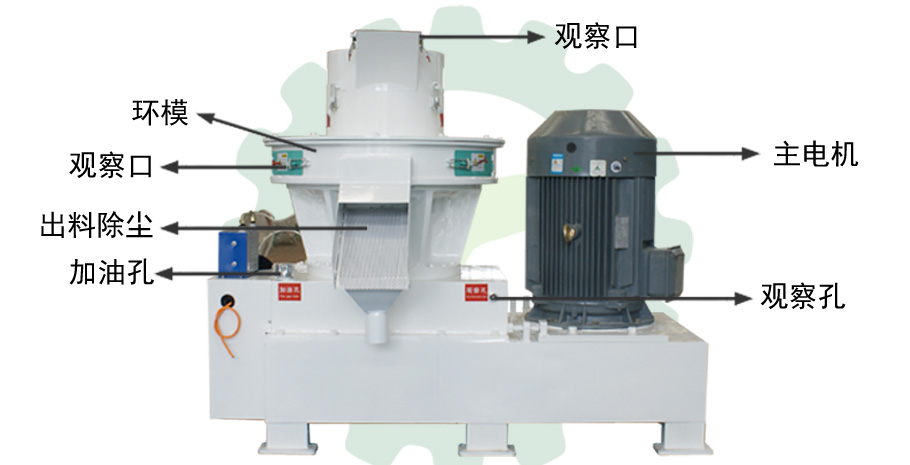 草莓影视大全污