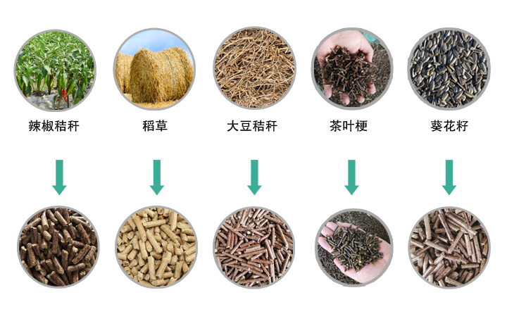 生物质草莓影视大全污械加工的颗粒