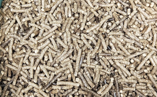 生物质草莓影视大全污生物质燃料