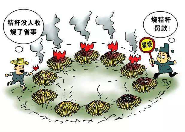 生物质草莓影视大全污械