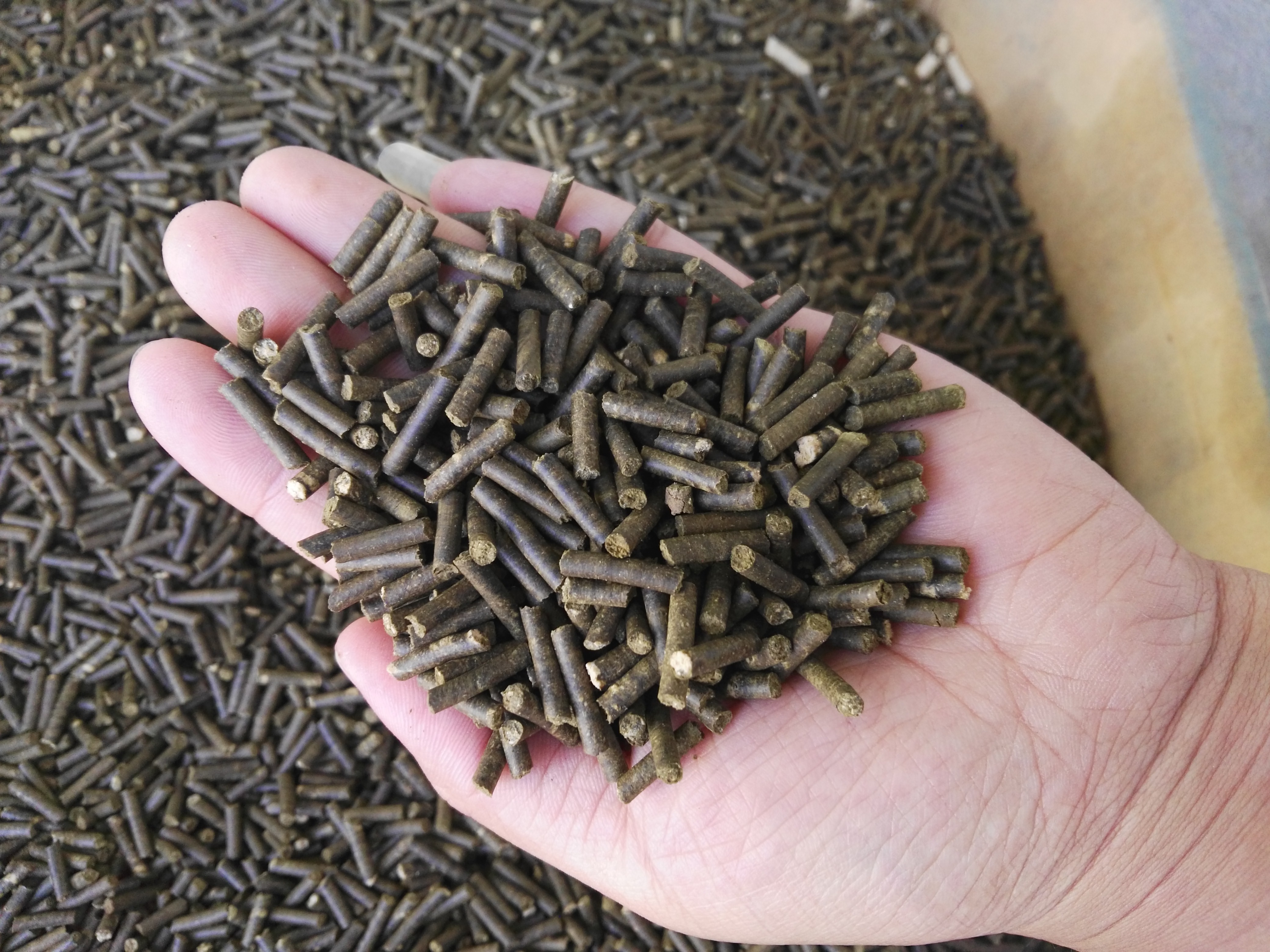 生物质草莓影视大全污械