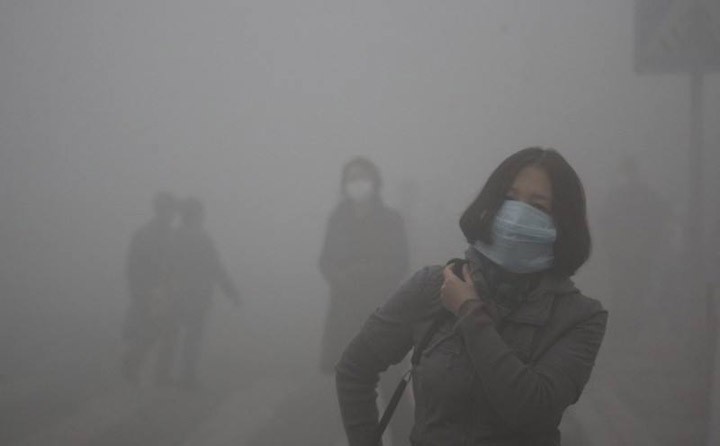 生物质草莓影视大全污械
