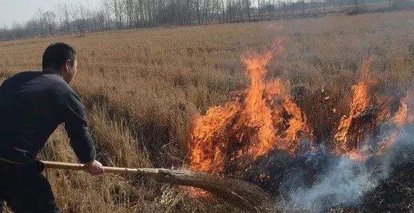 生物质草莓影视大全污械