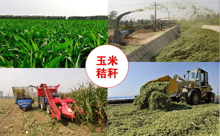 生物质草莓影视大全污械