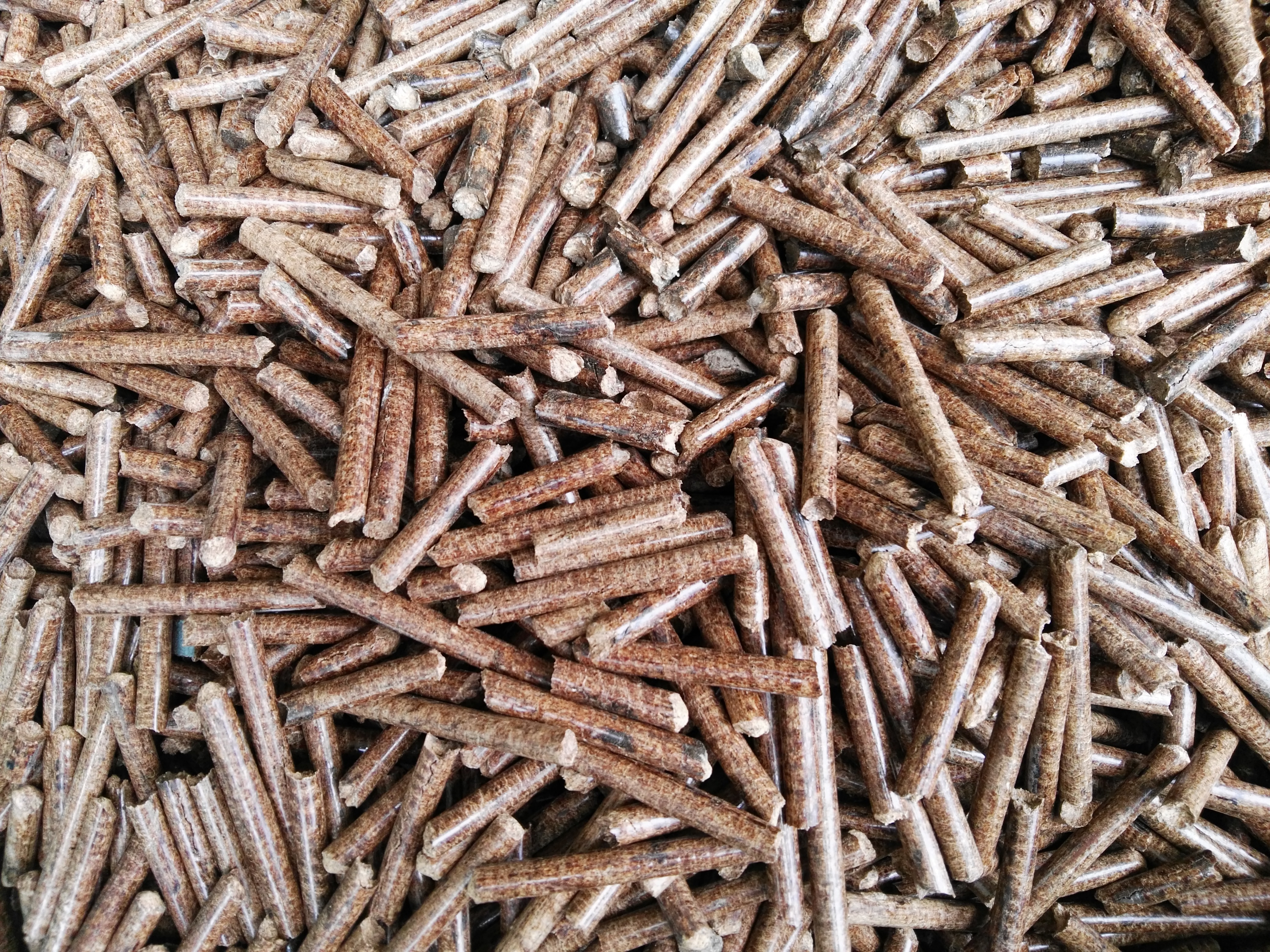 生物质草莓影视大全污械