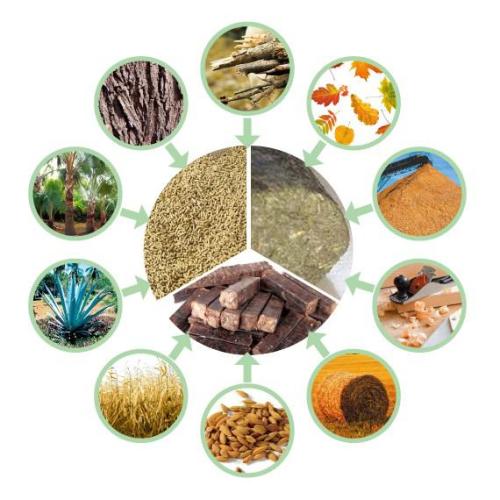 生物质草莓影视大全污械