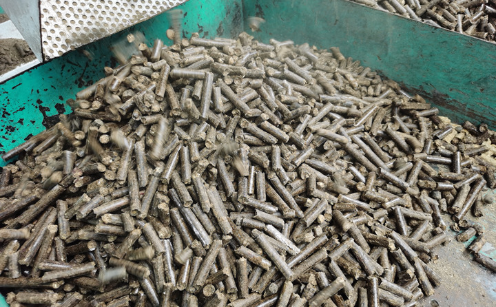 生物质草莓影视大全污燃料