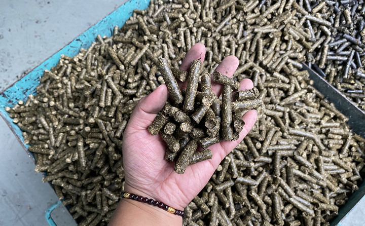 生物质草莓影视大全污的颗粒燃料