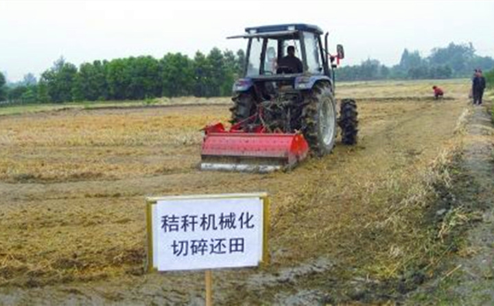 秸秆还田让“地越种越肥、产值越来越高”