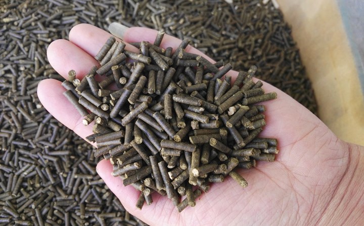 生物质燃料草莓影视大全污加工颗粒燃料