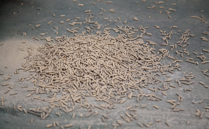 生物质燃料草莓影视大全污的颗粒燃料