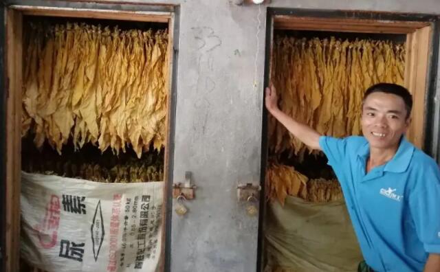 生物质草莓影视大全污颗粒燃料烤烟