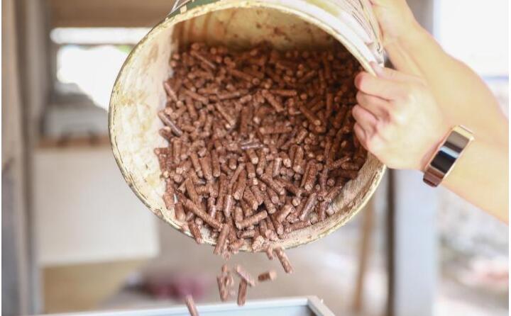 生物质草莓影视大全污的燃料