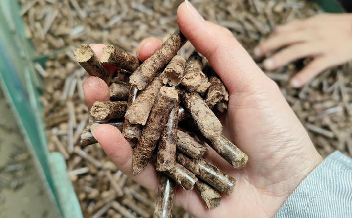 生物质草莓影视大全污加工的颗粒燃料