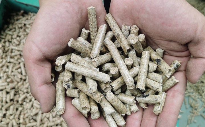 生物质草莓影视大全污加工的燃料颗粒