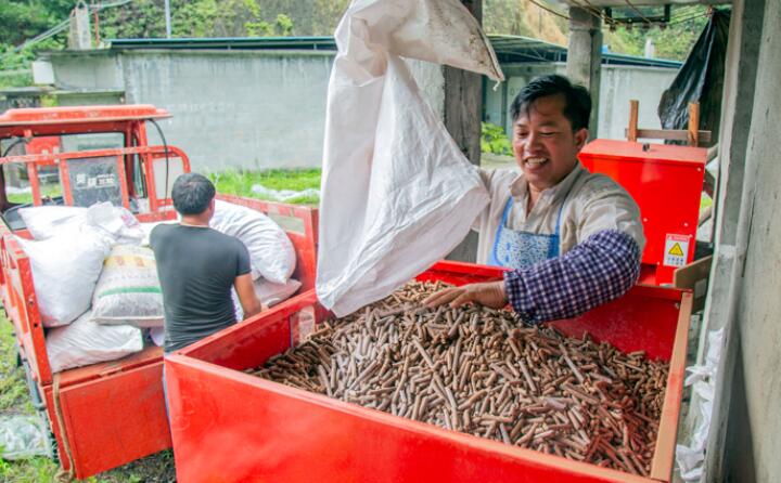 生物质草莓影视大全污加工的生物质颗粒燃料