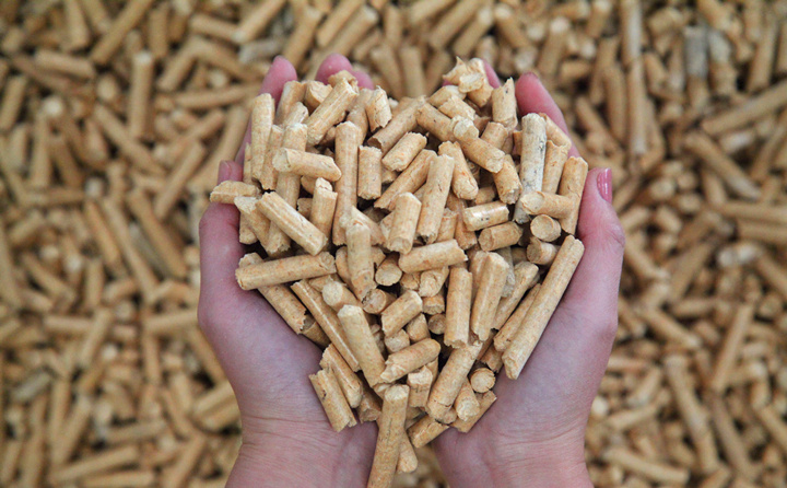 生物质草莓影视大全污加工的颗粒燃料