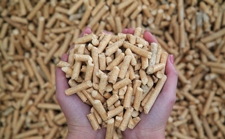 生物质草莓影视大全污加工的生物质成型燃料