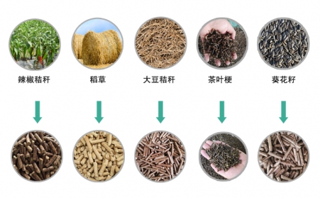 生物质草莓影视大全污械推动生物质能源发展
