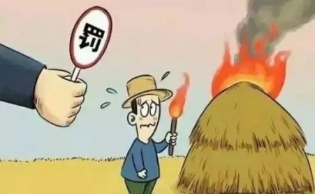 秸秆禁烧怎么办？秸秆草莓影视大全污帮您变废为宝！