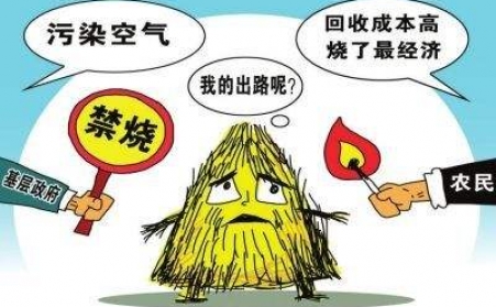 黑龙江秸秆草莓影视大全污把秸秆从包袱变回宝贝！