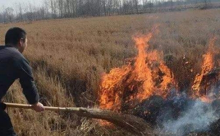 生物质草莓影视大全污解决了农村大难题！