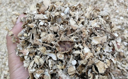 为什么有人愿意花钱买生物质燃料草莓影视大全污来加工稻壳花生壳呢？有必要吗？