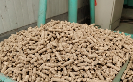 2021阳信清洁取暖1万多户全部使用生物质草莓影视大全污的燃料颗粒