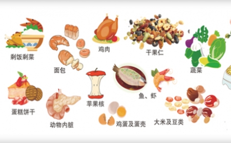 我国明确对非居民厨余垃圾处理按“产生者付费”原则计量收费,你的垃圾怎么办？垃圾生物质草莓影视大全污帮你解决