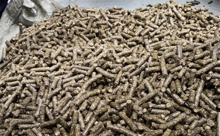 生物质燃料草莓影视大全污生产线配套设备有哪些？有什么好处？