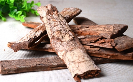 深入！为什么欧洲需要依靠可持续的生物能源