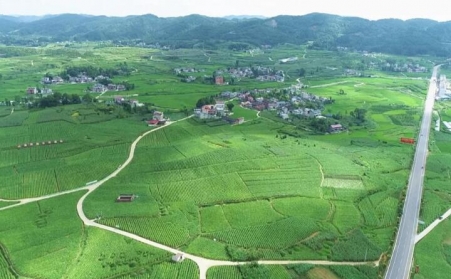 福泉：生物质颗粒智能化烘烤 助力烤烟产业提质增效