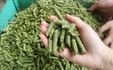 河南支持生物质能等可再生能源替代，助力实现碳达峰碳中和目标
