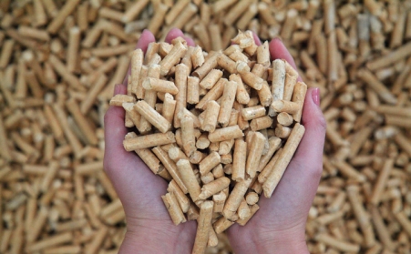 生物质草莓影视大全污制粒项目建设的背景必要性