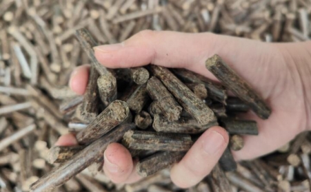 提高生物质草莓影视大全污产量小妙招及颗粒用途