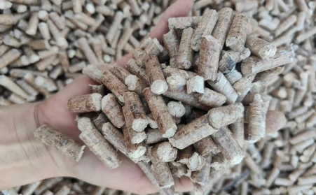 取暖季前广积粮，生物质颗粒迎来旺季