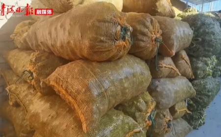 青海海东乐都：生物质颗粒燃料燃起乡村振兴新希望