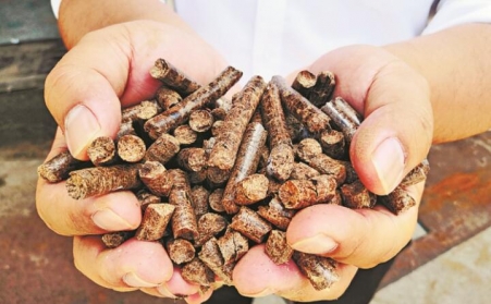 推广生物质燃料利用，农林业废弃物变成“宝贝疙瘩”