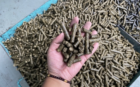 生物质草莓影视大全污加工的燃料的使用方向主要有以下5个