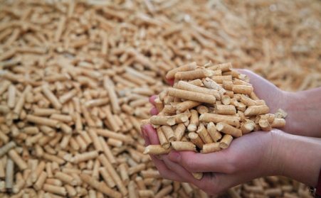 废木材粉碎后用生物质草莓影视大全污制作生物质燃料颗粒
