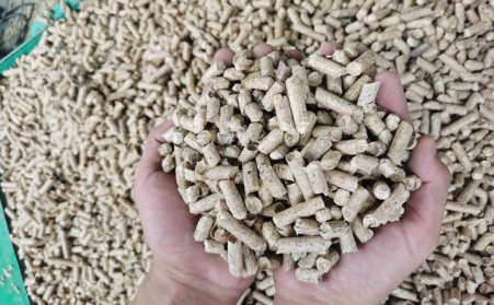办生物颗粒厂买生物质草莓影视大全污需要什么手续？