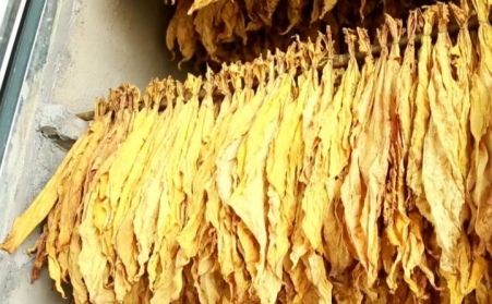 湖北省十堰市竹溪桃源乡：生物质燃料运输正当时